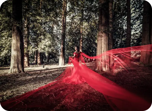 Services detail - Pre-Wedding Package-Wedding Dress-Pre-wedding Package-photoshoot